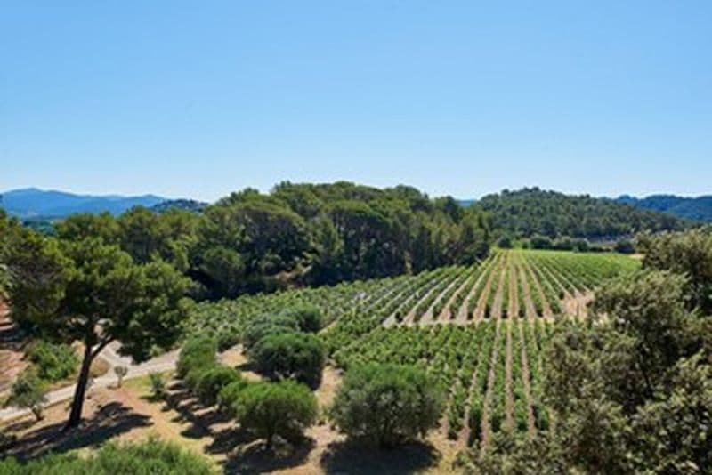 Billet Visite dégustation au sein d'un domaine viticole à Pierrefeu-du-Var près de Toulon