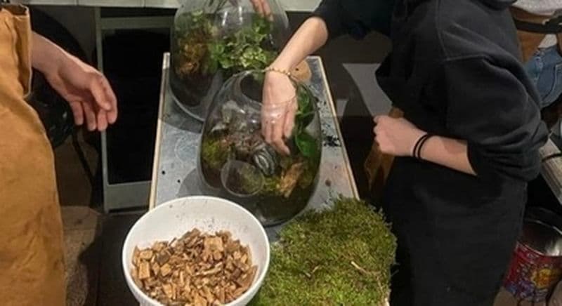 Billet Atelier de création d'un Terrarium ou Kokedama à Paris 20ème