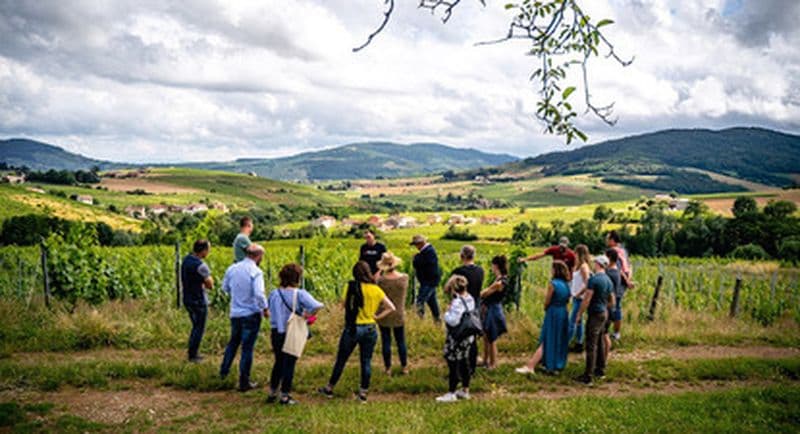 Billet Visite et dégustation dans un domaine viticole au cœur du Beaujolais