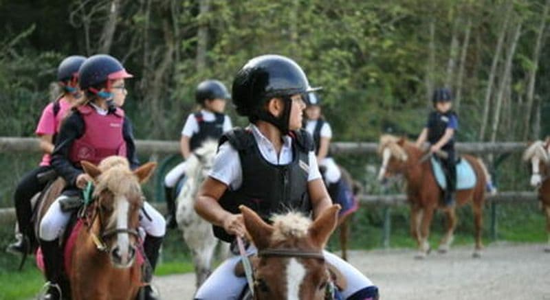 Billet Cours ou stage d'équitation à Ozouer-le-Voulgis près de Melun