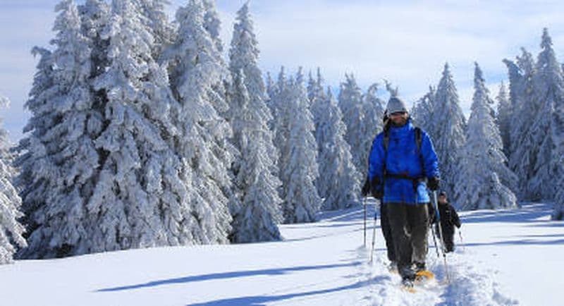 Billet Journée Raquettes aux Arcs et repas en Beaufortain