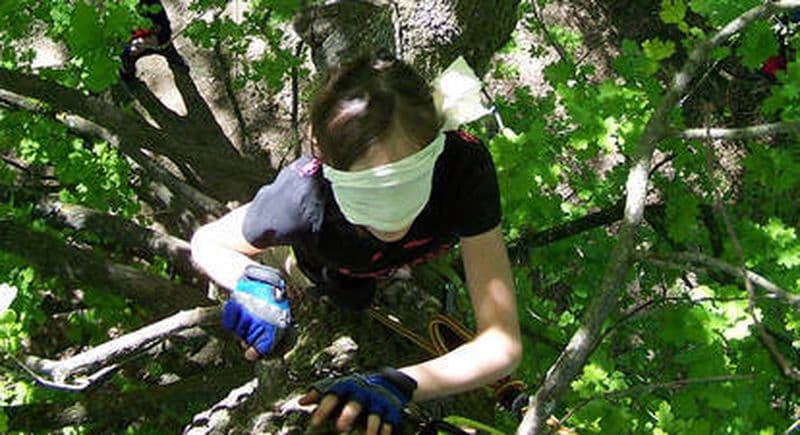 Journée grimpe d'arbres près de Grenoble