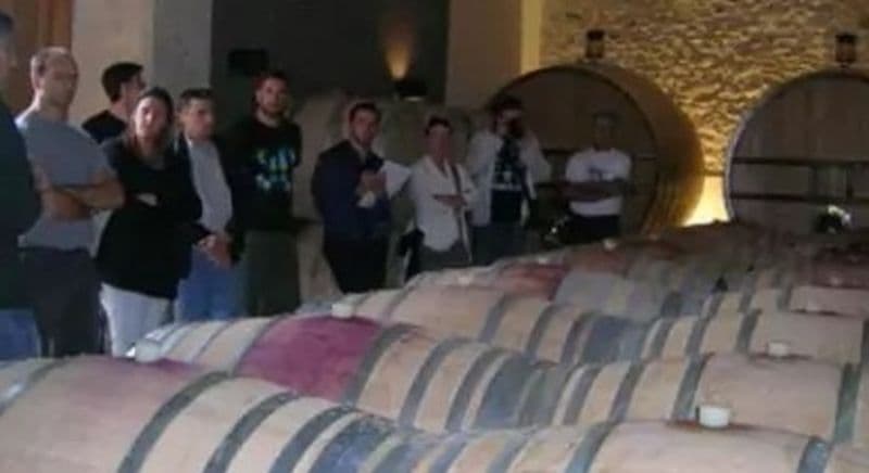 Stage d'œnologie à Clermont l'Hérault