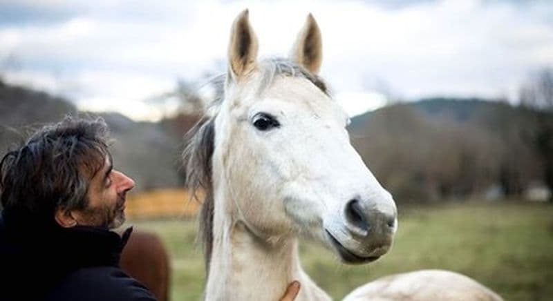Billet Balade à cheval à Cabrerets près de Cahors