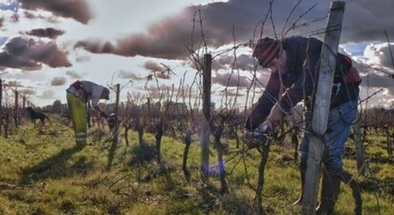 Week-end dans le vignoble bordelais près de Soulac-sur-Mer