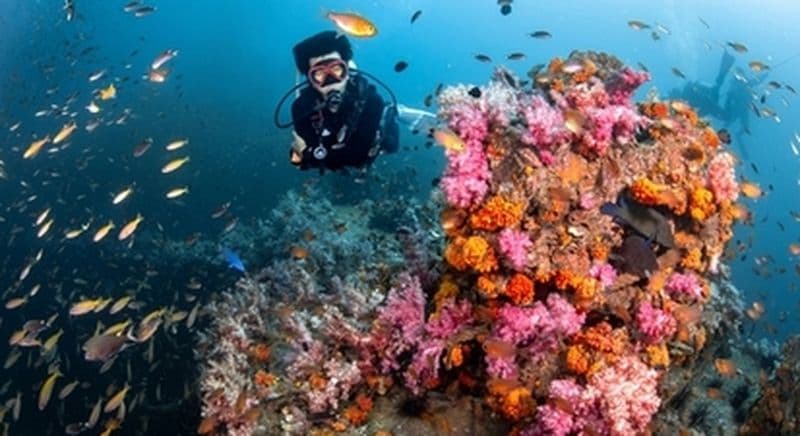 Initiation à la plongée sous-marine dans le golfe d'Ajaccio