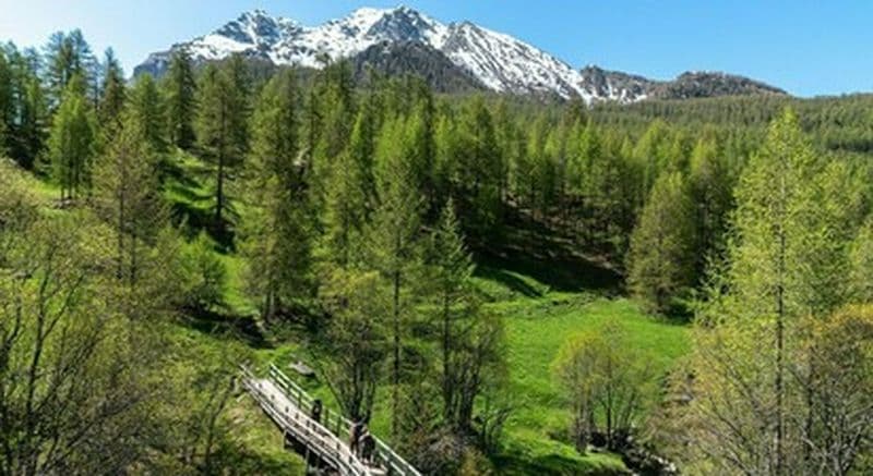 Stage découverte de la survie dans la Vallée de l'Ubaye au coeur des Alpes de Haute Provence