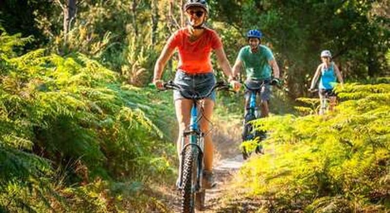 Balade guidée en trottinette et dégustation de vin à travers la forêt landaise à Labenne - 2h