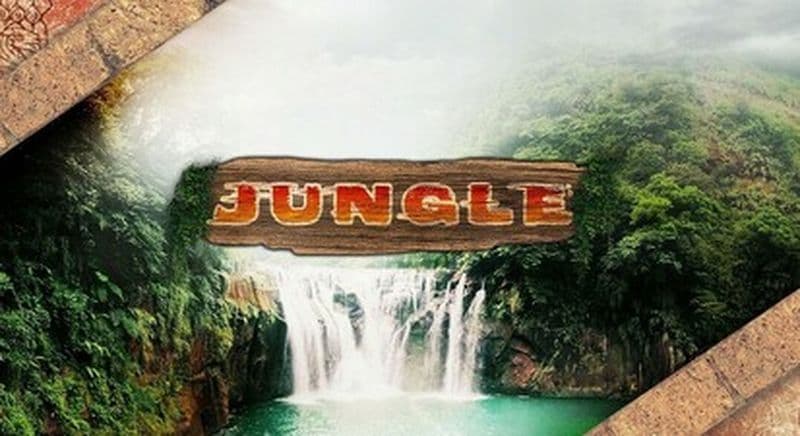 Escape Game Jungle à Biguglia près de Bastia