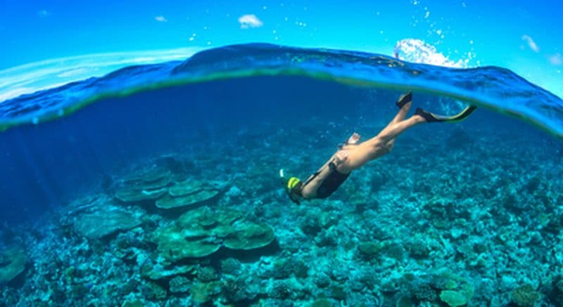 Snorkeling près de Saint Tropez