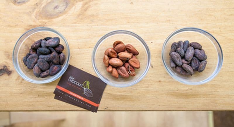 Billet Atelier dégustation de chocolat grands crus à Paris 9ème