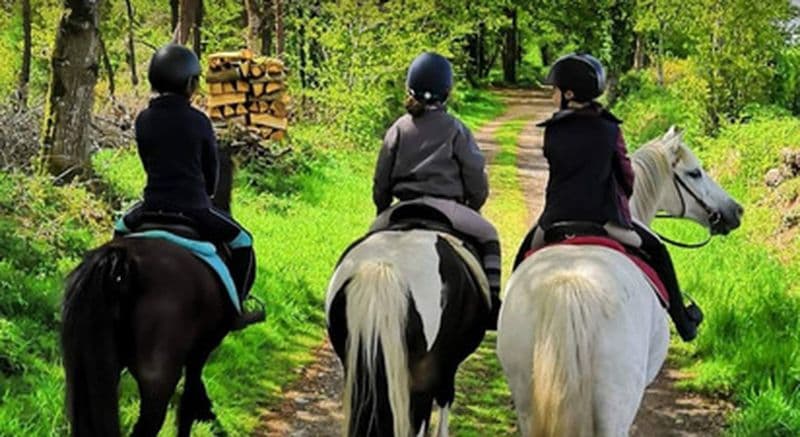 Balade à cheval près de Guingamp