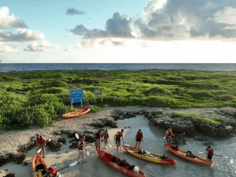 Billet Excursion guidée en kayak sur l'île de Popoi'a à Kailua, O'ahu