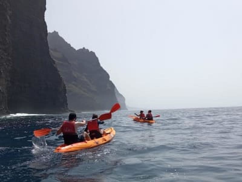 Billet Excursion guidée en kayak depuis Punta de Teno, Los Gigantes, Tenerife