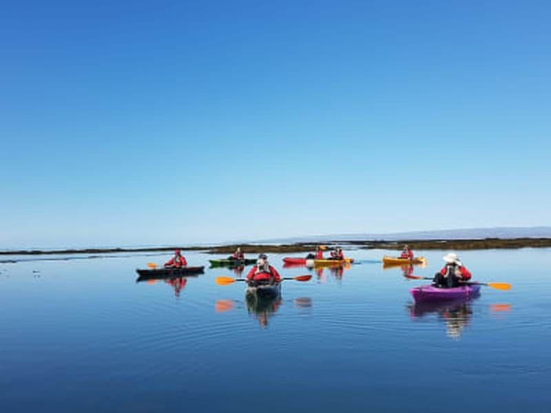 Billet Excursion guidée en kayak de mer sur la rivière Hraunsá à Stokkseyri près de Selfoss