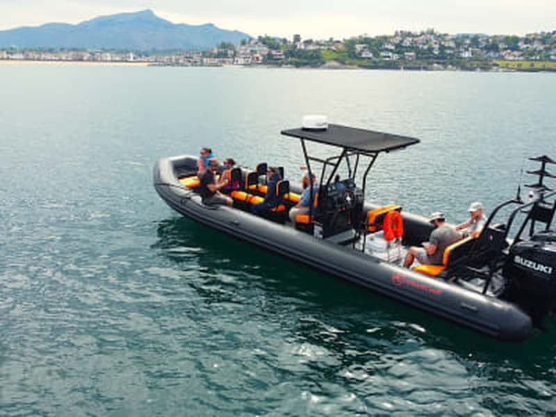 Billet Balade en bateau sur les côtes basques depuis Saint-Jean-de-Luz