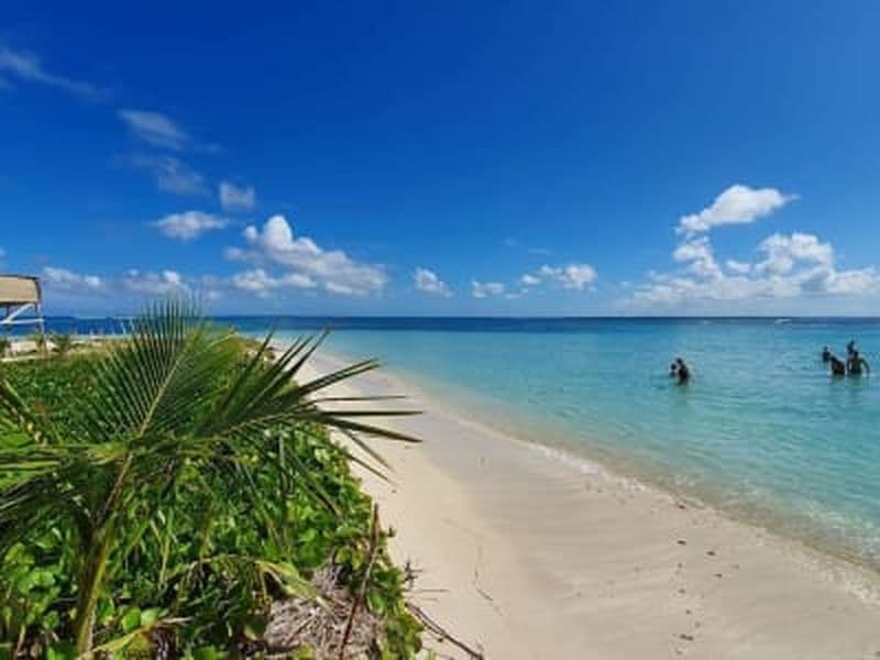 Billet Excursion en bateau au Grand Cul-de-sac marin depuis Le Gosier, Guadeloupe