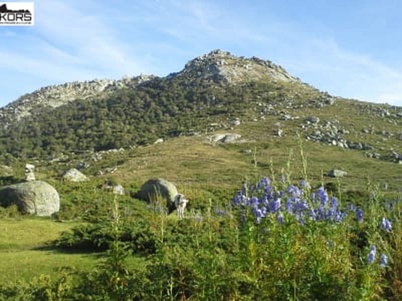Billet Randonnée découverte du plateau du Coscione, Alta Rocca