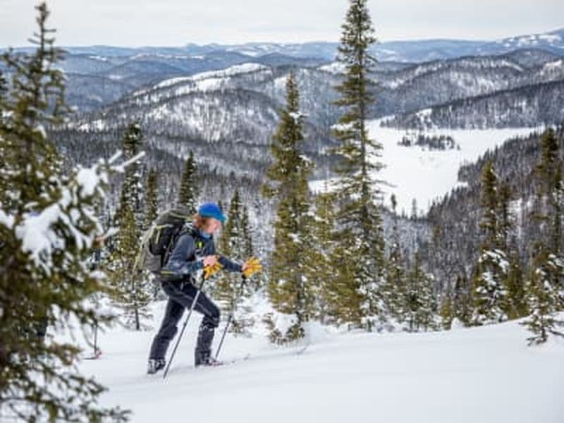 Billet Découverte du ski de randonnée dans la forêt boréale du fjord du Saguenay, L'Anse-Saint-Jean