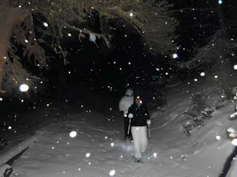 Billet Randonnée en raquettes de nuit dans les Monts-Valin, Saguenay–Lac-Saint-Jean