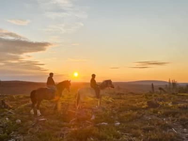 Excursion à cheval au soleil de minuit depuis Rovaniemi