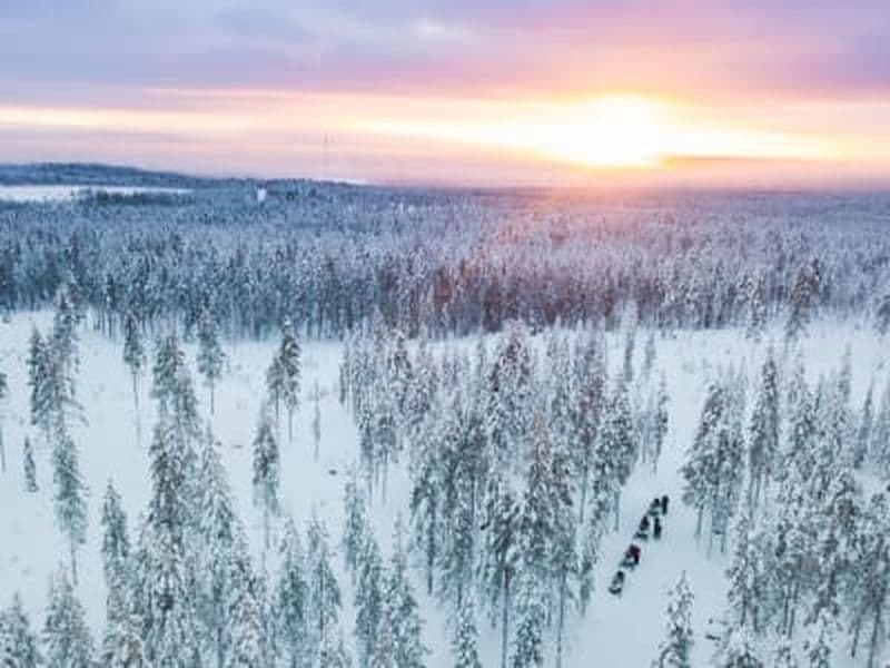 Billet Excursion en traîneau près du cercle polaire arctique depuis Rovaniemi