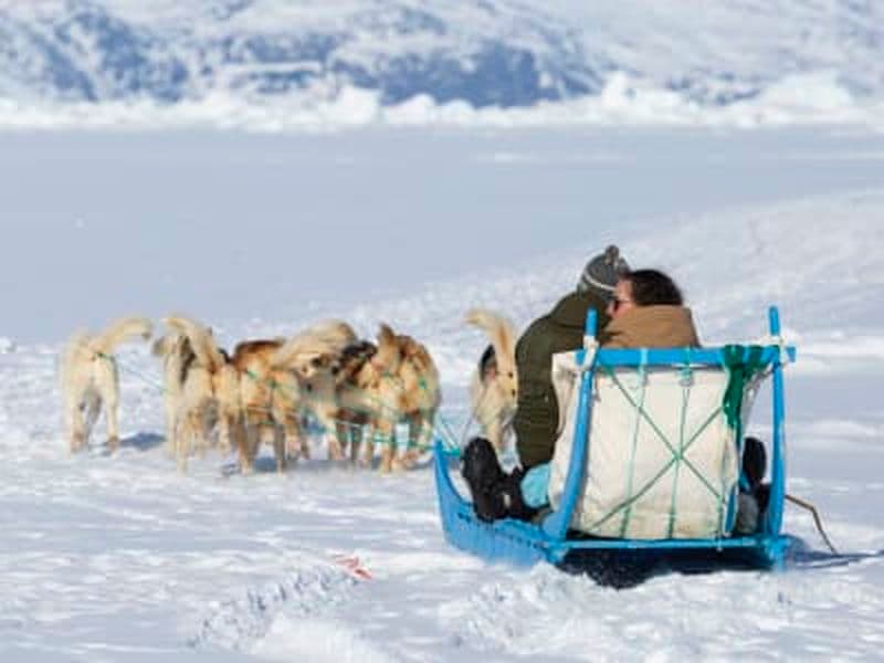 Billet Randonnée guidée en chiens de traîneau à Ilulissat