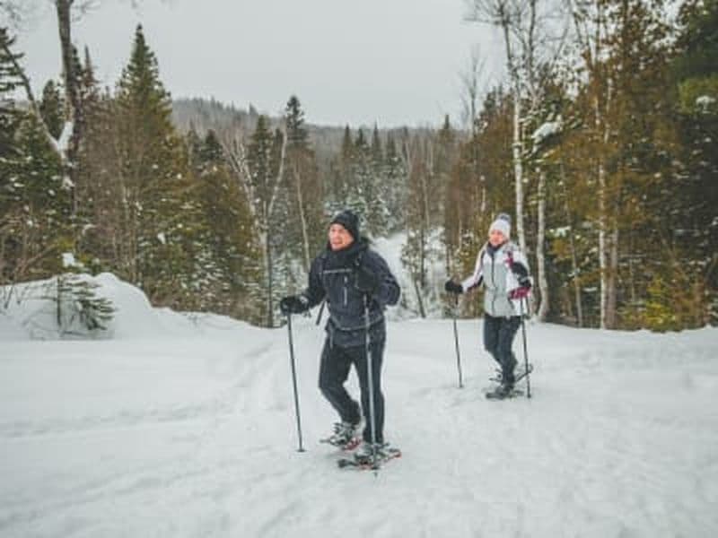Billet Randonnée hivernale au Parc régional de la Forêt Ouareau depuis Montréal