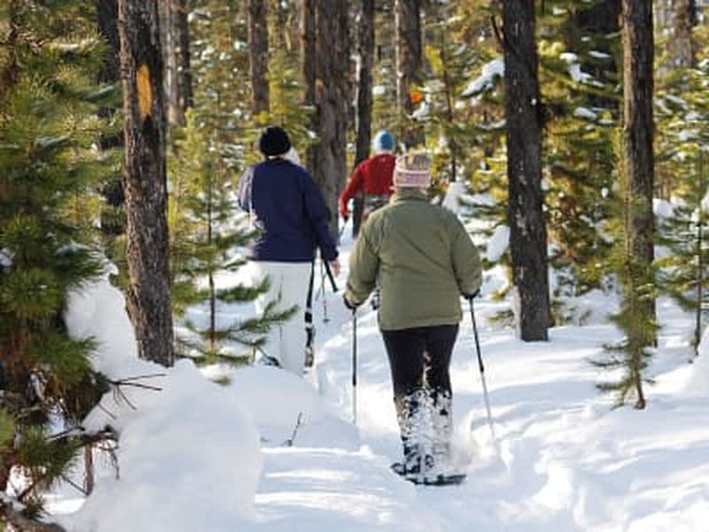 Excursion guidée en raquettes près de Whitehorse, Yukon
