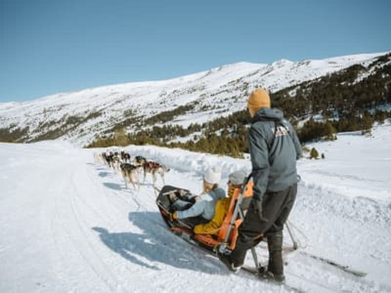 Aventure hivernale : chiens de traîneau et balade en motoneige dans le parc de montagne de Grandvalira, Andorre