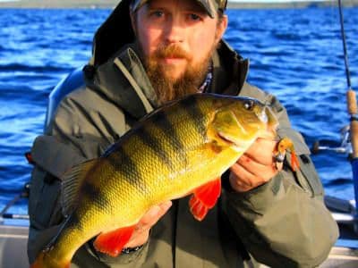 Excursion de pêche guidée à partir de Laxforsen près de Kiruna