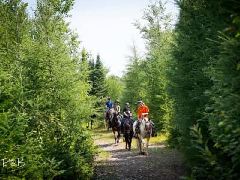 Balade à cheval dans les Laurentides, à Val-des-Lacs