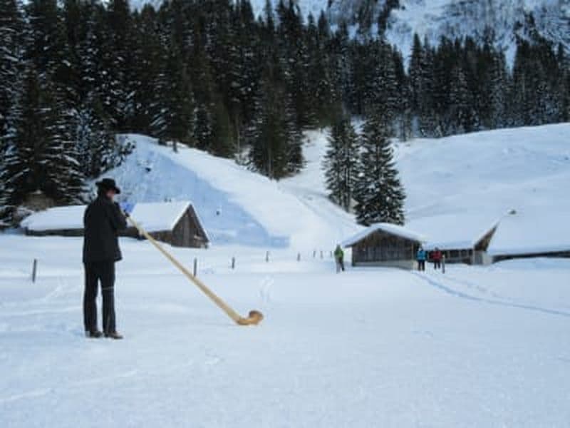 Billet Randonnée en raquettes au Son du Cor des Alpes à Morzine, Portes du Soleil