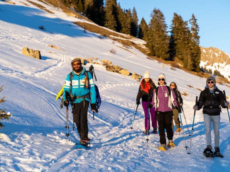 Billet Randonnée en raquettes et observation des chamois dans la vallée du Giffre près de Samoëns