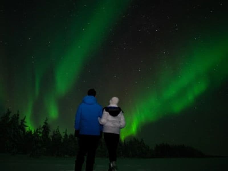 Billet Balade en traîneau à rennes dans les aurores boréales à partir de Levi