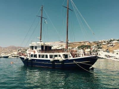 Billet Croisière en bateau de Mykonos aux îles de Delos et de Rhénia