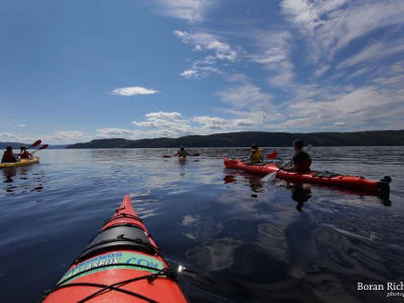 Billet Balade en kayak de mer dans le fjord du Saguenay depuis Cap Jaseux, Saint-Fulgence