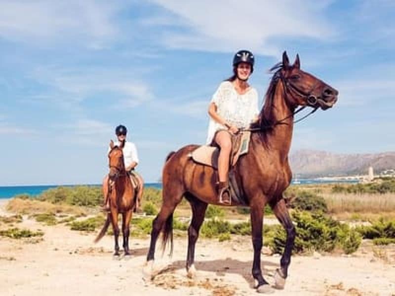 Randonnée à cheval le matin à Paros