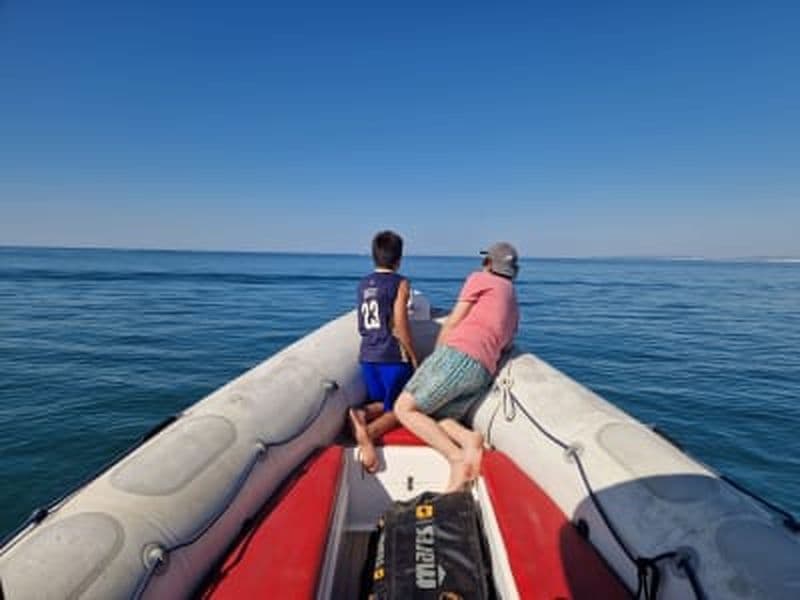 Billet Balade en bateau dans la baie d'Aigues-Mortes depuis Le Grau-du-Roi, Camargue