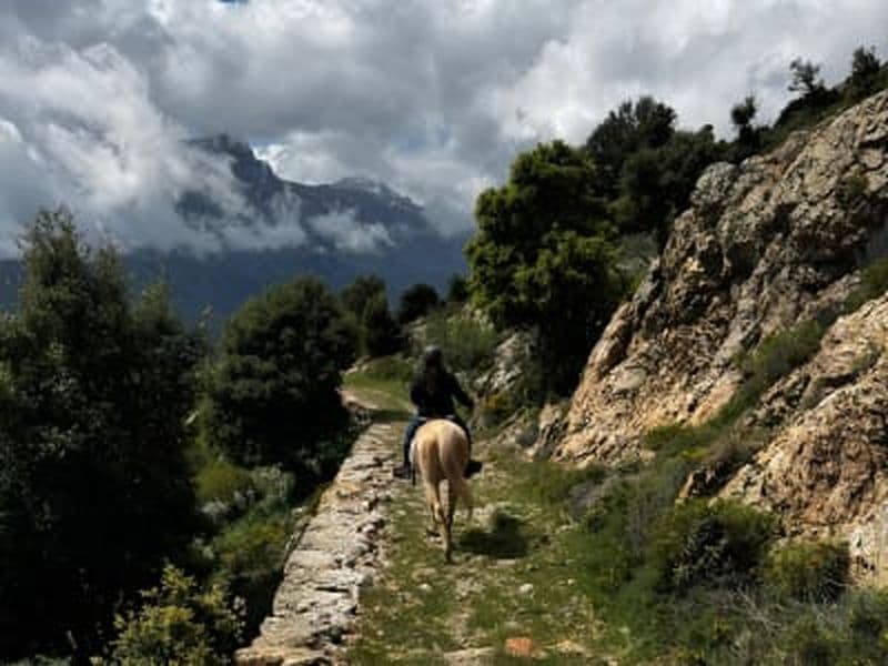 Randonnée à cheval à Olmi-Cappella près de l’Île-Rousse, Corse
