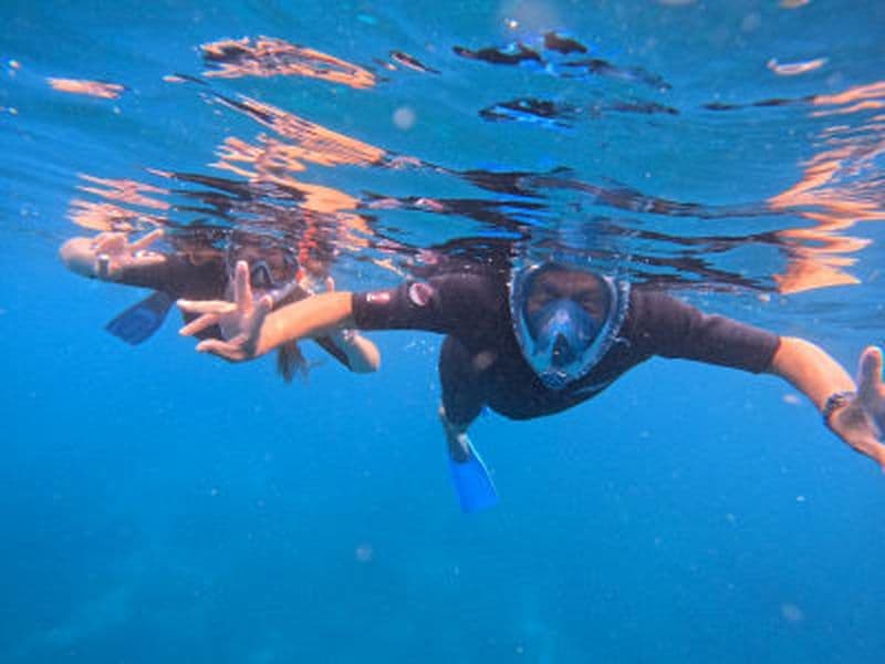 Billet Excursion de snorkeling aux Anses-d’Arlet, Martinique