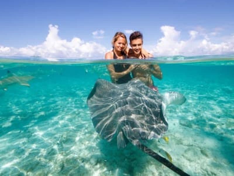Billet Eco-safari raies, requins et snorkeling dans le jardin de corail à Bora Bora