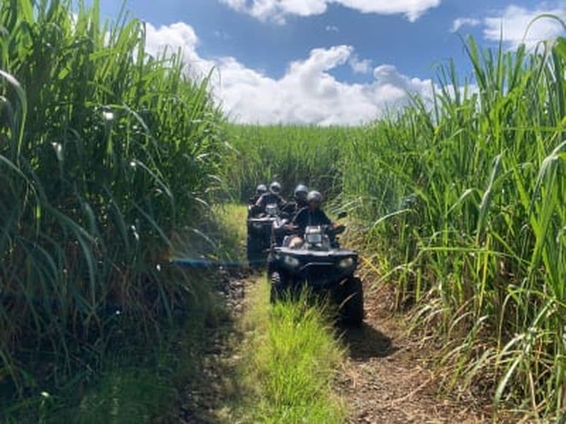Billet Randonnée guidée en quad depuis Villèle à Saint-Paul, La Réunion