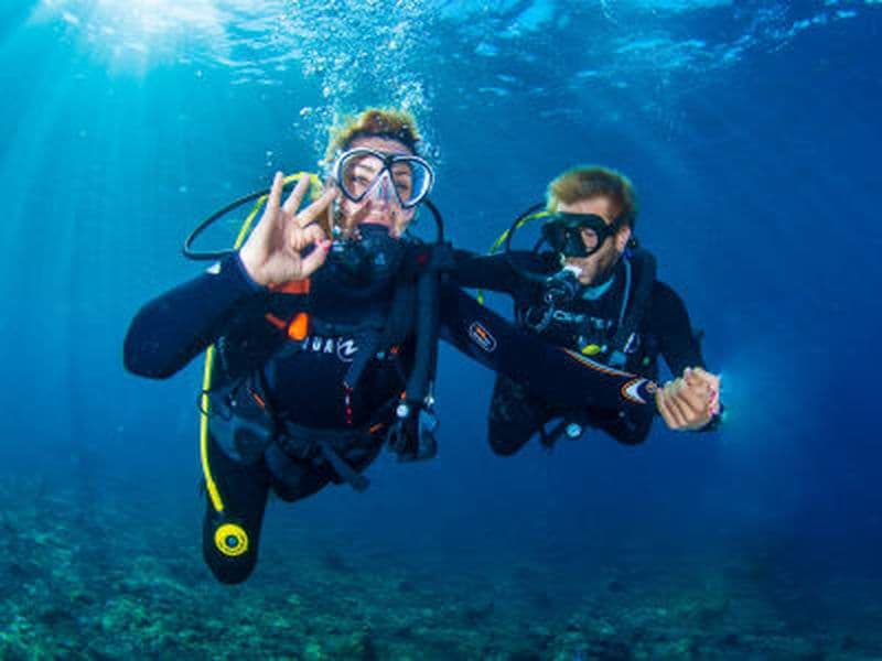 Billet Découvrez la plongée sous-marine à partir de la plage de Radazul, Tenerife