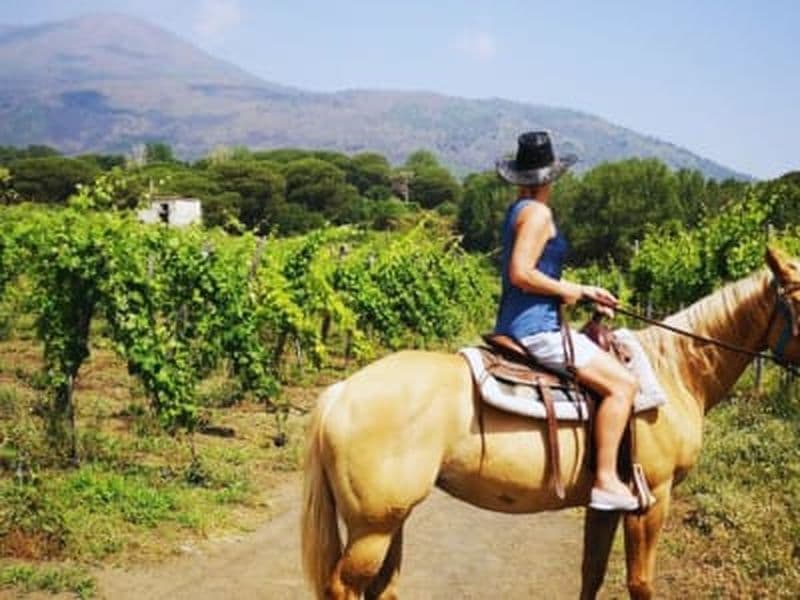 Billet Balade à cheval dans les vignobles du Vésuve depuis Pompéi