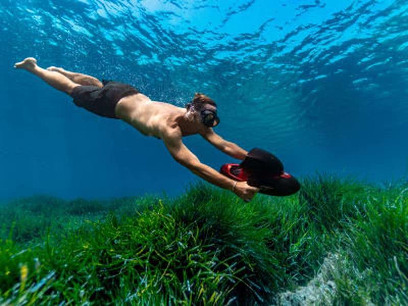Billet Snorkeling avec les tortues en scooter sous-marin aux Anses-d'Arlet, Martinique