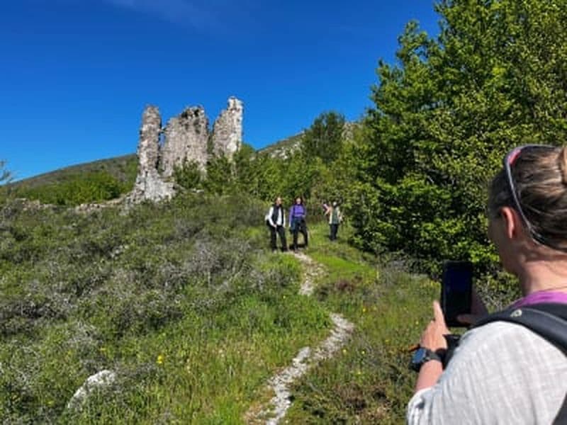 Billet Randonnée en forêt de Vizzavona près de Corte