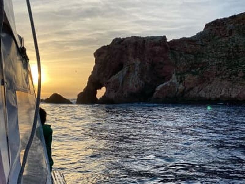 Excursion en bateau vers les îles Berlengas et les spéléologies de Peniche