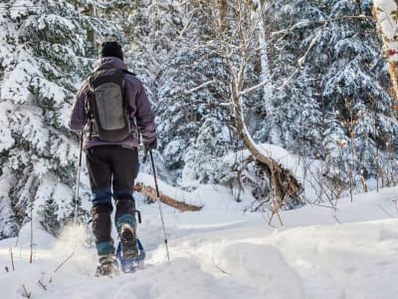 Billet Excursion en raquettes au Camp Mercier, Réserve faunique des Laurentides, depuis Québec