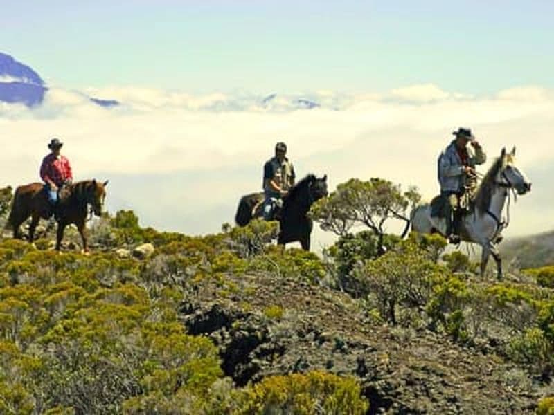 Billet Randonnée à cheval au volcan du Piton de la Fournaise, La Réunion